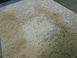 cleaning a bamboo silk rug job