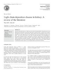 Pdf Light Chain Deposition Disease In Kidney A Review Of