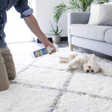 amazing carpet shoo for pets