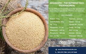 amaranth the protein dynamo