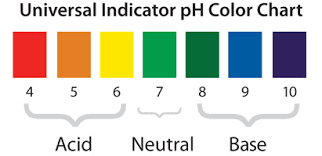 Indicators Acids Vs Bases