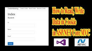 data in cookie in asp net core mvc