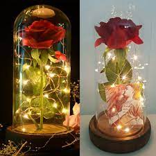 Beast Rose Jar With Lights