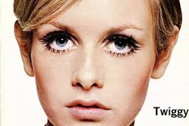 top 60s supermodel twiggy known for
