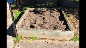 raised garden bed for planting