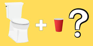 Why Put A Red Cup Under Toilet Seat At
