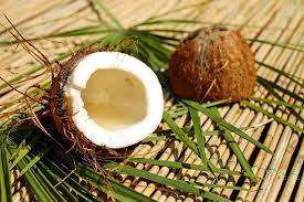 coconuts nature s miracle food