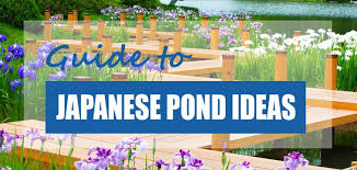 18 mystical anese pond design ideas