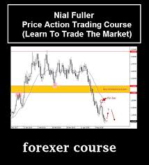 nial fuller action trading