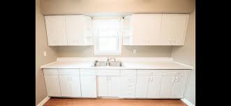vine youngstown by mullins cabinets