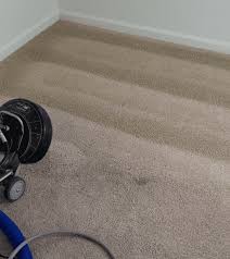 amazing carpet cleaning services