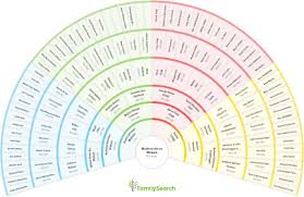 Genealogy Charts Treeseek Com