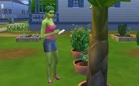 Best Tips S For The Sims How