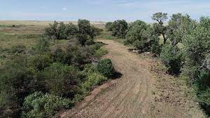 lipscomb county tx hunting land for