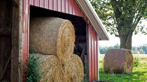 pole shed hay barn do you need a