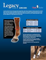 Classic Equine Legacy2 Horse Medicine Smb Sport Boots Grey Scroll Front