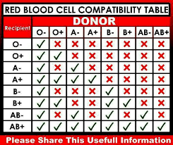 Blood Compatibility Chart Nursing Lab Values Nursing