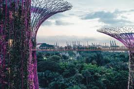 community gardening in singapore grow