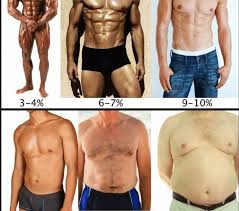 Brads Practical Guide To Body Fat Percentages Brad Newton