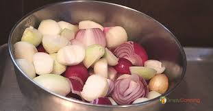 Learn How To Freeze Onions Properly A