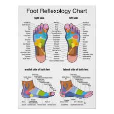 Foot Reflexology Poster Zazzle Com Http Www Zazzle Com