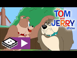 the tom and jerry show new dog