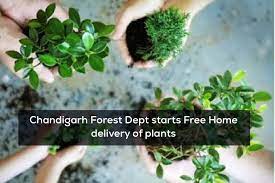 Chandigarh Forest Department Starts