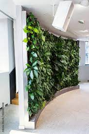 Living Green Wall Vertical Garden