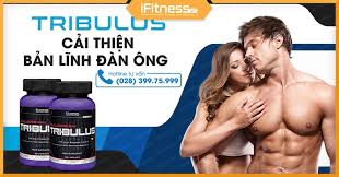 tribulus viên uống tăng cường hóc môn