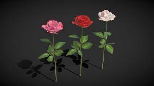 roses low poly royalty free 3d