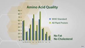 nutrilite all plant protein powder amway