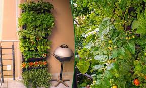 Vertical Garden Greenwall By