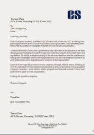 Examples Of Good Curriculum Vitae Sample Template Of Excellent