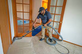 portland nw carpet cleaning