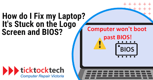 stuck on the logo screen and bios