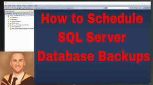 schedule sql server database backups