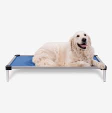 12 very best dog beds 2023 the strategist