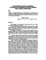 Influence of pH on the Activity of Potato Catalase    GCSE Science     Page      