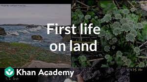 First living things on land clarification (video) | Khan Academy