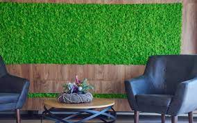 7 Amazing Grass Wall Design Ideas In