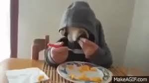 This is due to two processes: Dog Eating With Fork And Human Hands On Make A Gif