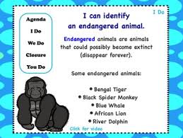 Endangered And Extinct Animals Flipchart And Worksheets