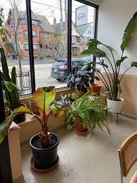 Ready to move in and enjoy life in one of toronto's trendiest neighbourhoods. The Goods 35 Photos 46 Reviews Vegetarian 279 Roncesvalles Ave Toronto On Restaurant Reviews Phone Number