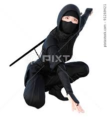 ninja ninja stock ilration