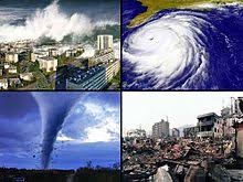 Essay on man made disasters wikipedia   Top Essay Writing Wikipedia
