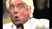 Maybe you would like to learn more about one of these? The Ric Flair Flop Gifs Get The Best Gif On Giphy