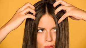 The sebum or natural oils keep the hair healthy and moisturized and shield it from external damage caused by harsh chemicals. You Are What You Eat 5 Foods That Make Your Hair Oily Lifestyle News The Indian Express
