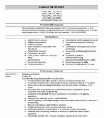 Certified Nursing Assistant Hospice Aide Resume Example