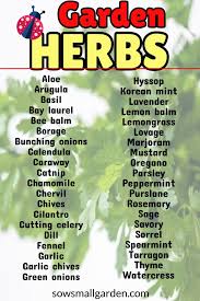 Garden Herbs List 40 Types Of Herbs To
