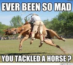 Image result for funny horse
